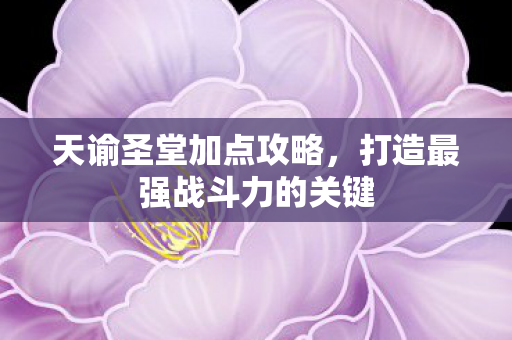 天谕圣堂加点攻略，打造最强战斗力的关键