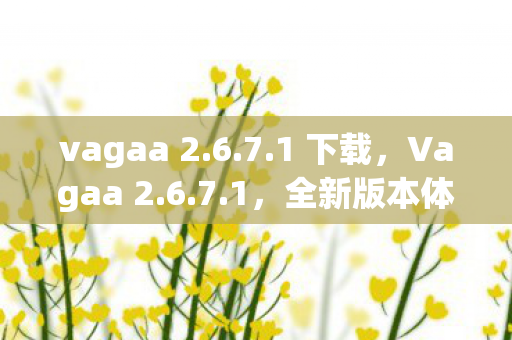 vagaa 2.6.7.1 下载，Vagaa 2.6.7.1，全新版本体验与深度解析