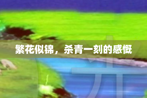 繁花似锦，杀青一刻的感慨