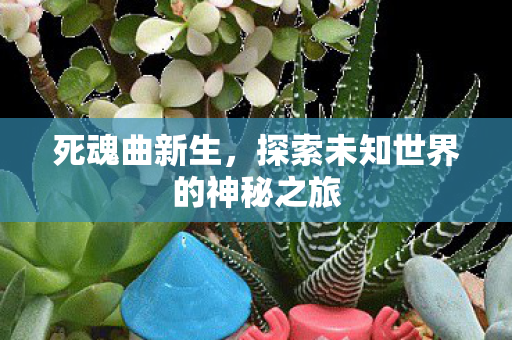 死魂曲新生，探索未知世界的神秘之旅