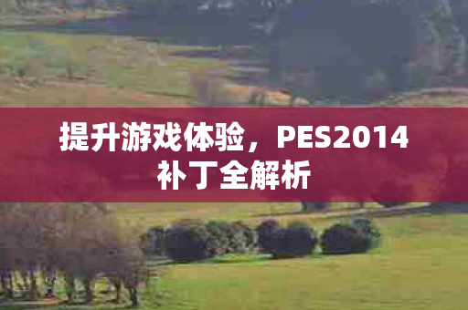 提升游戏体验，PES2014补丁全解析