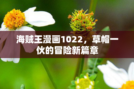 海贼王漫画1022，草帽一伙的冒险新篇章