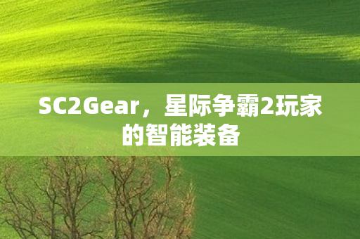 SC2Gear,星际争霸2玩家的智能装备 SC2Gear,星际争霸2玩家的智能装备