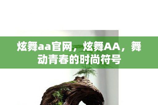 炫舞aa官网，炫舞AA，舞动青春的时尚符号