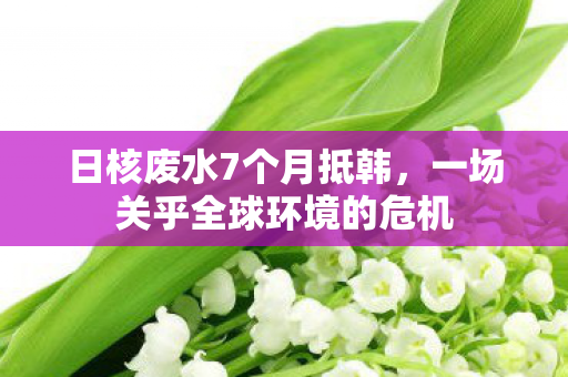 日核废水7个月抵韩,一场关乎全球环境的危机 日核废水7个月抵韩,一场关乎全球环境的危机