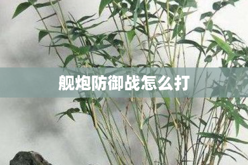 舰炮防御战怎么打