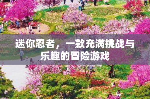 迷你忍者，一款充满挑战与乐趣的冒险游戏