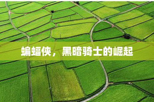 蝙蝠侠，黑暗骑士的崛起