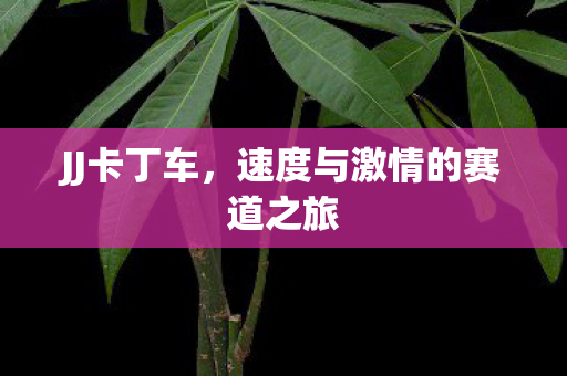 JJ卡丁车，速度与激情的赛道之旅