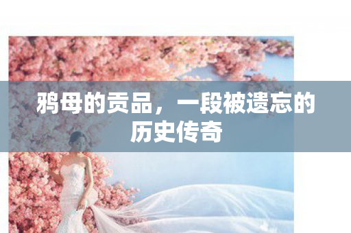 鸦母的贡品，一段被遗忘的历史传奇