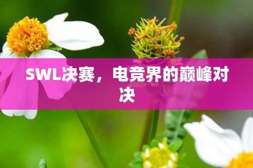 SWL决赛，电竞界的巅峰对决