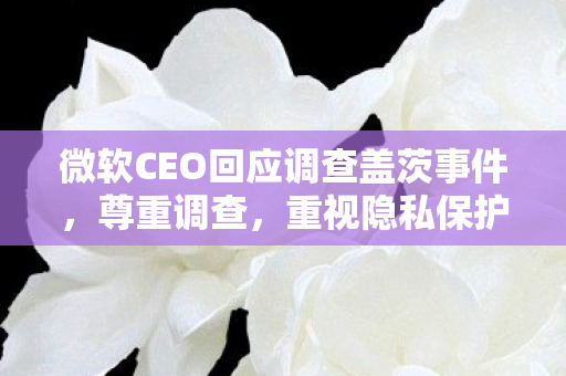 微软CEO回应调查盖茨事件，尊重调查，重视隐私保护