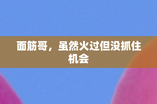 面筋哥，虽然火过但没抓住机会