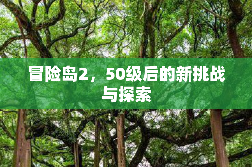 冒险岛2，50级后的新挑战与探索