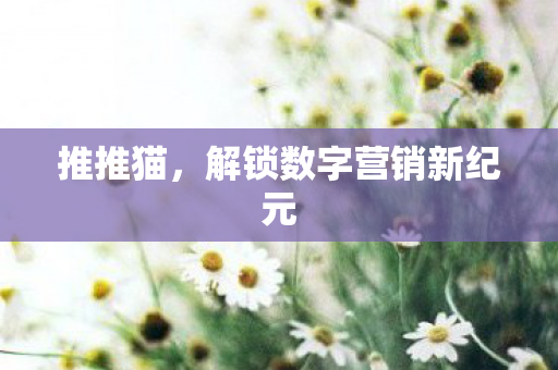 推推猫,解锁数字营销新纪元 推推猫,解锁数字营销新纪元