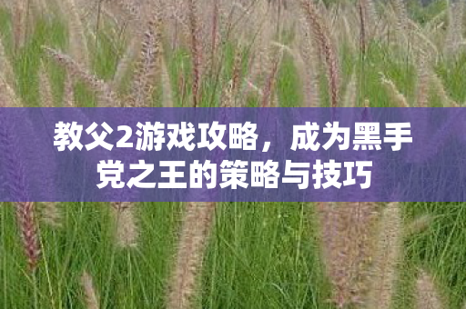 教父2游戏攻略，成为黑手党之王的策略与技巧