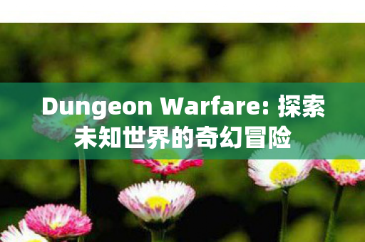 Dungeon Warfare: 探索未知世界的奇幻冒险