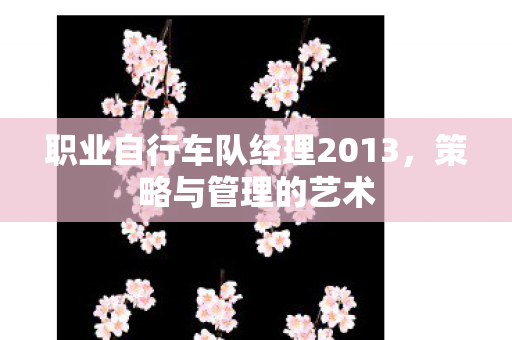 职业自行车队经理2013，策略与管理的艺术