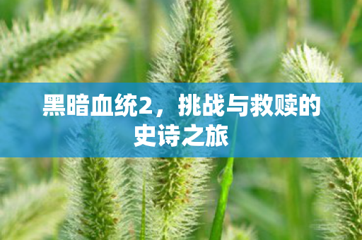 黑暗血统2，挑战与救赎的史诗之旅