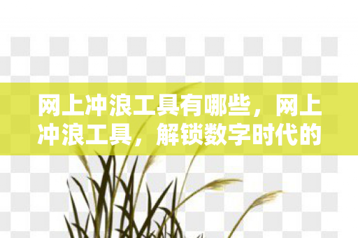 网上冲浪工具有哪些,网上冲浪工具,解锁数字时代的无限可能 网上冲浪工具有哪些,网上冲浪工具,解锁数字时代的无限可能