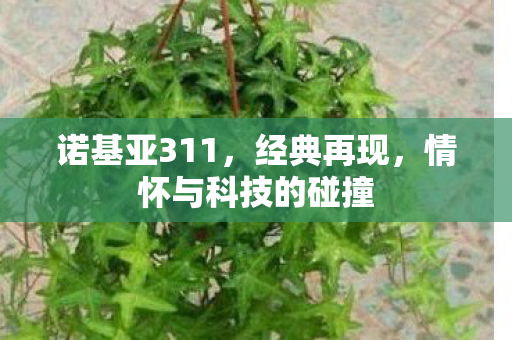 诺基亚311，经典再现，情怀与科技的碰撞