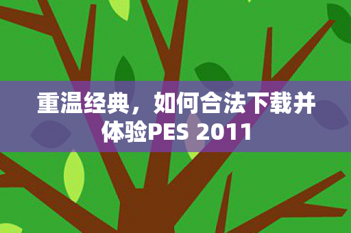 重温经典，如何合法下载并体验PES 2011