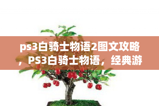ps3白骑士物语2图文攻略，PS3白骑士物语，经典游戏的怀旧之旅
