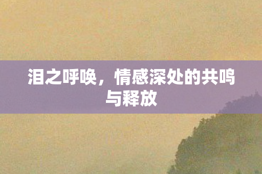 泪之呼唤，情感深处的共鸣与释放