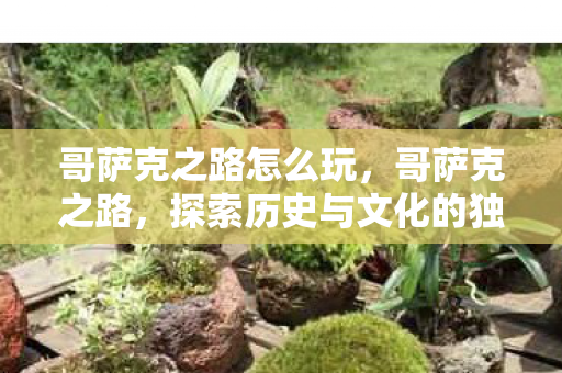 哥萨克之路怎么玩，哥萨克之路，探索历史与文化的独特轨迹