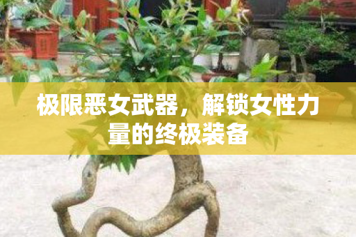 极限恶女武器，解锁女性力量的终极装备