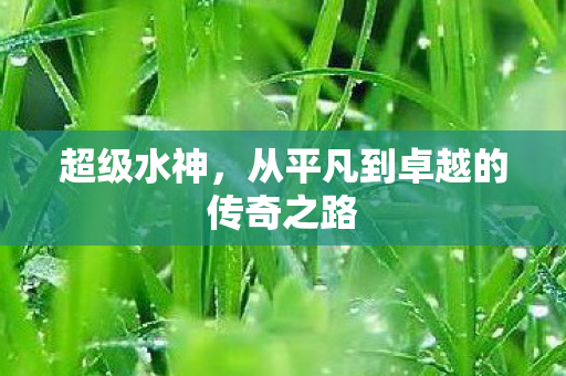 超级水神,从平凡到卓越的传奇之路 超级水神,从平凡到卓越的传奇之路
