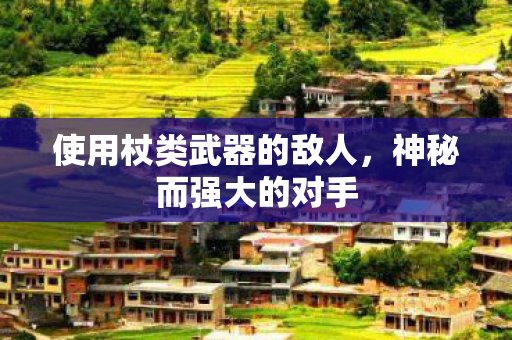 使用杖类武器的敌人，神秘而强大的对手