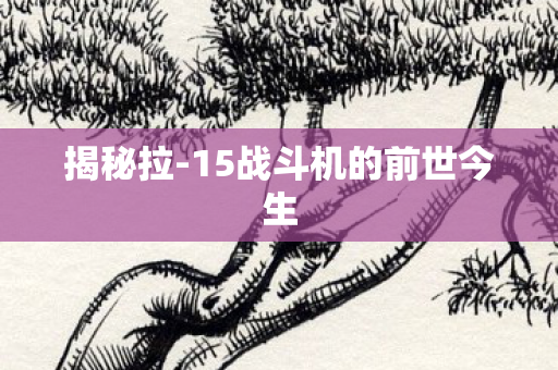 揭秘拉-15战斗机的前世今生