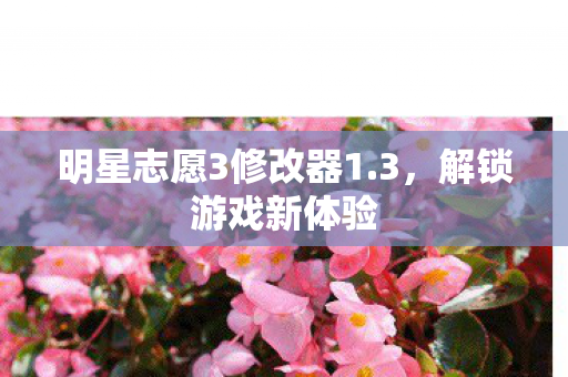 明星志愿3修改器1.3,解锁游戏新体验 明星志愿3修改器1.3,解锁游戏新体验