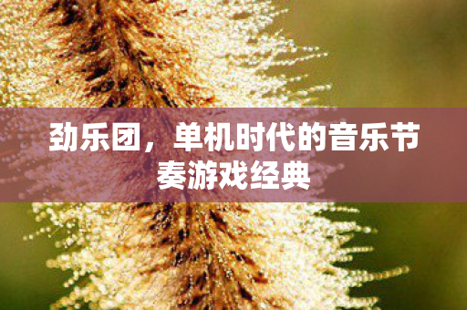 劲乐团，单机时代的音乐节奏游戏经典