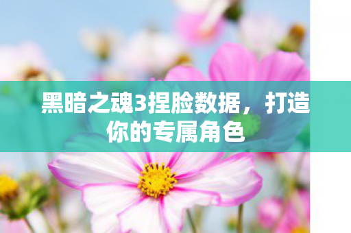 黑暗之魂3捏脸数据，打造你的专属角色