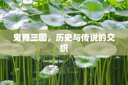 鬼舞三国,历史与传说的交织 鬼舞三国,历史与传说的交织