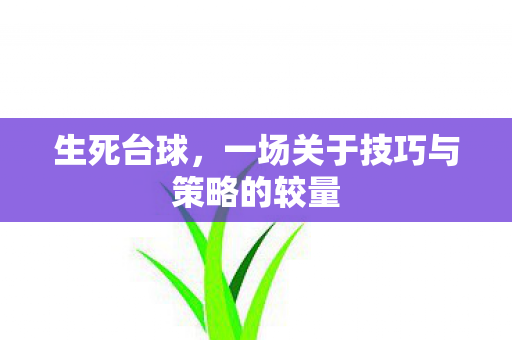 生死台球,一场关于技巧与策略的较量 生死台球,一场关于技巧与策略的较量