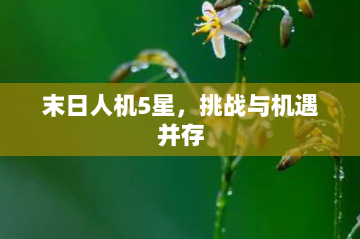 末日人机5星，挑战与机遇并存