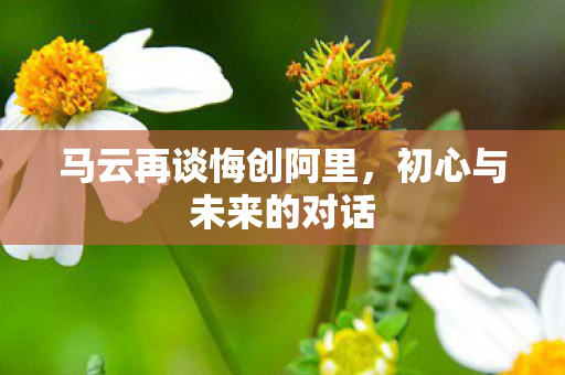 马云再谈悔创阿里，初心与未来的对话