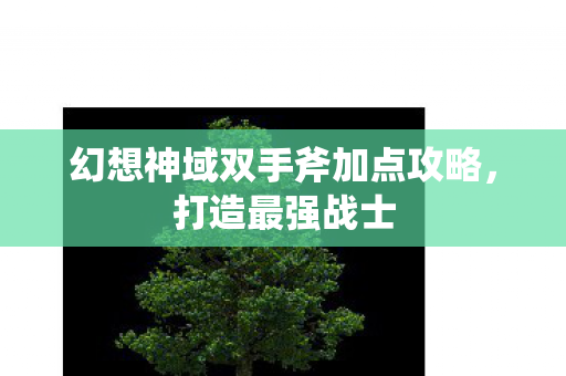 幻想神域双手斧加点攻略,打造最强战士 幻想神域双手斧加点攻略,打造最强战士