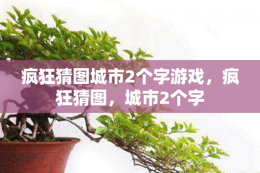 疯狂猜图城市2个字游戏，疯狂猜图，城市2个字