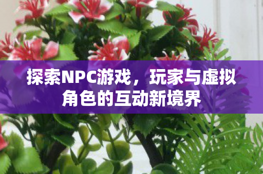 探索NPC游戏，玩家与虚拟角色的互动新境界