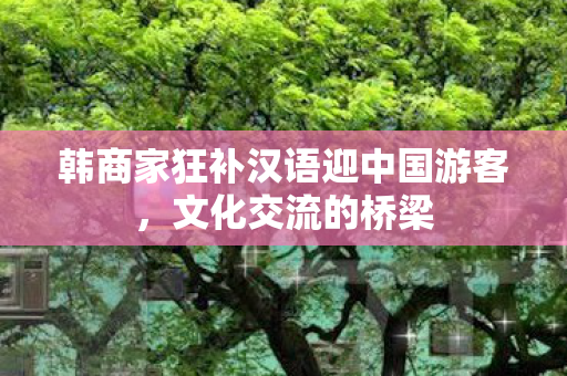 韩商家狂补汉语迎中国游客，文化交流的桥梁