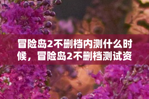 冒险岛2不删档内测什么时候，冒险岛2不删档测试资格全解析