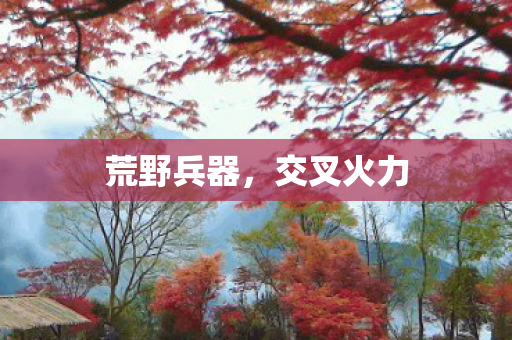 荒野兵器，交叉火力