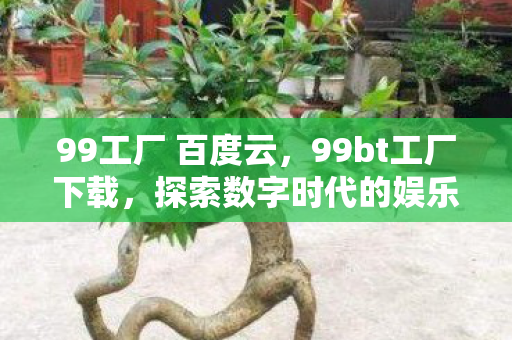 99工厂 百度云，99bt工厂下载，探索数字时代的娱乐新选择