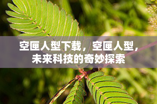 空匣人型下载,空匣人型,未来科技的奇妙探索 空匣人型下载,空匣人型,未来科技的奇妙探索
