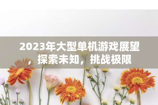 2023年大型单机游戏展望，探索未知，挑战极限