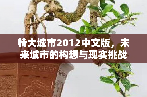 特大城市2012中文版，未来城市的构想与现实挑战